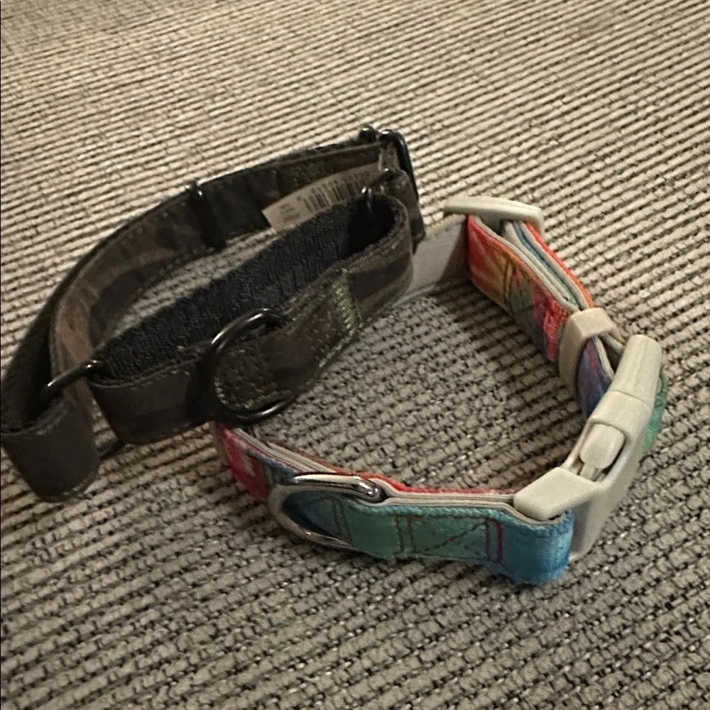 Dog Collars - Size Small - Picture 2 of 4